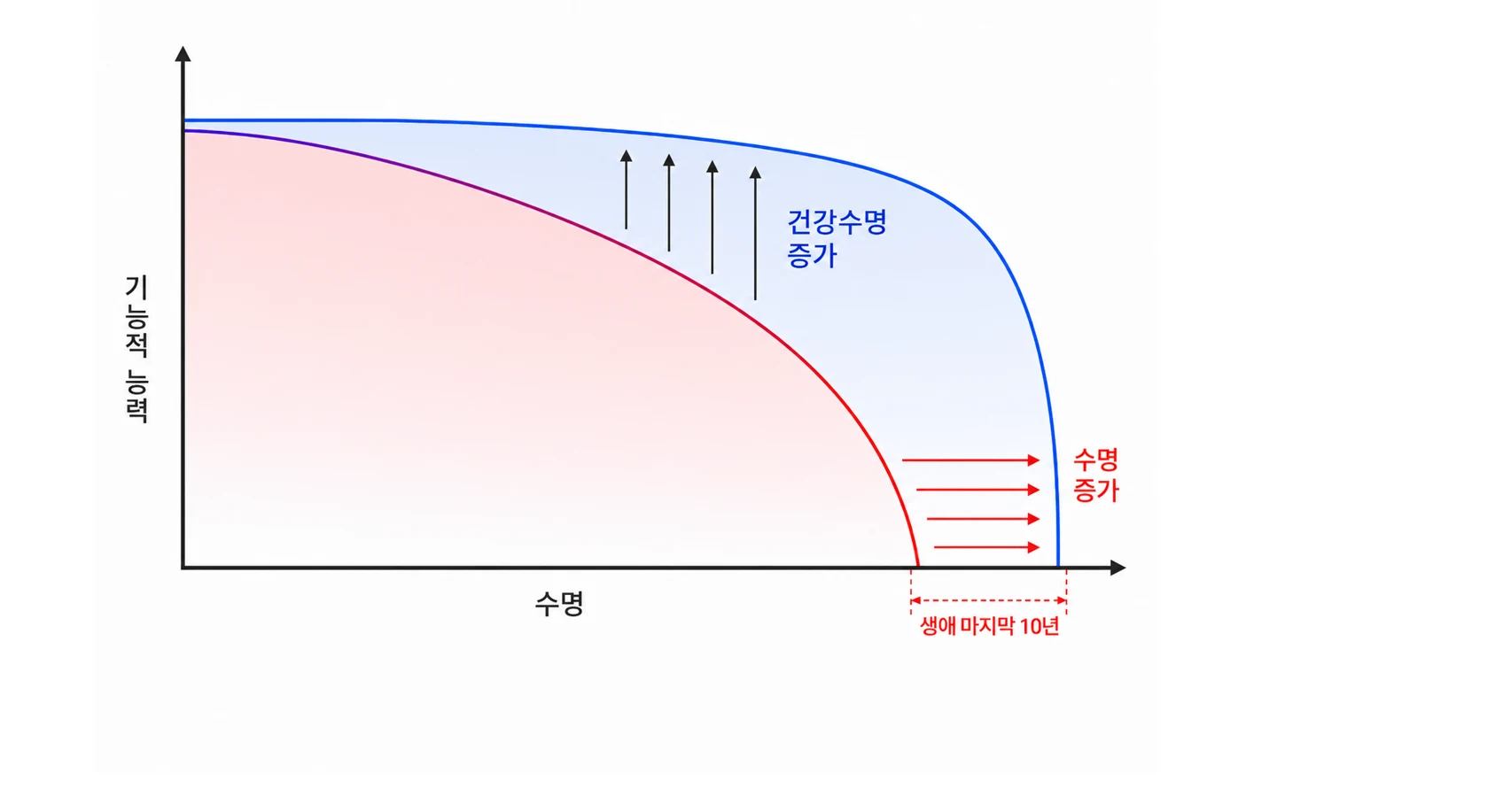 기능적 능력 곡선에서 건강수명을 늘리는 접근과 생존 기간을 늘리는 접근의 차이를 비교한 개념도