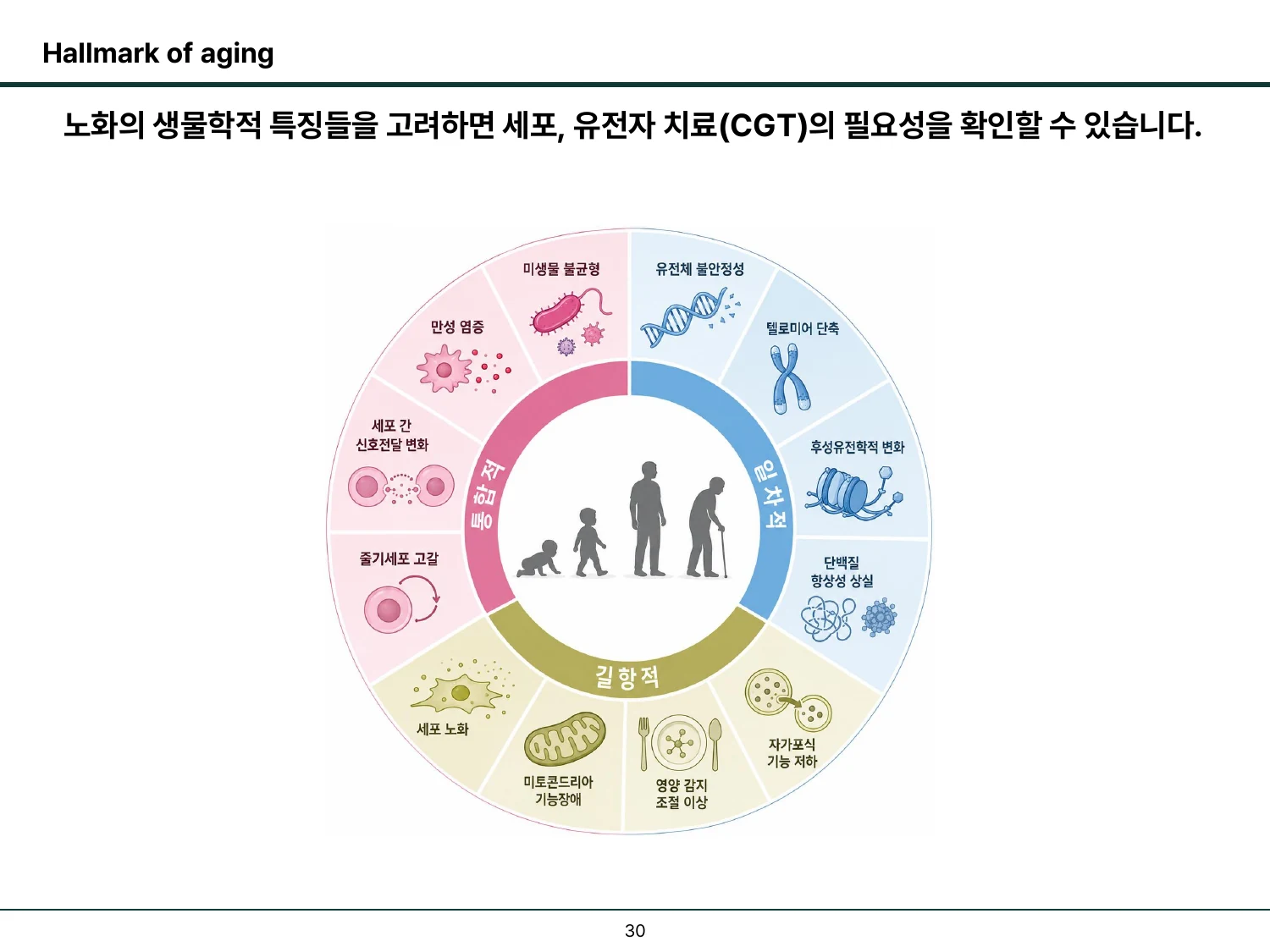노화의 생물학적 특징을 정리한 Hallmarks of Aging 슬라이드