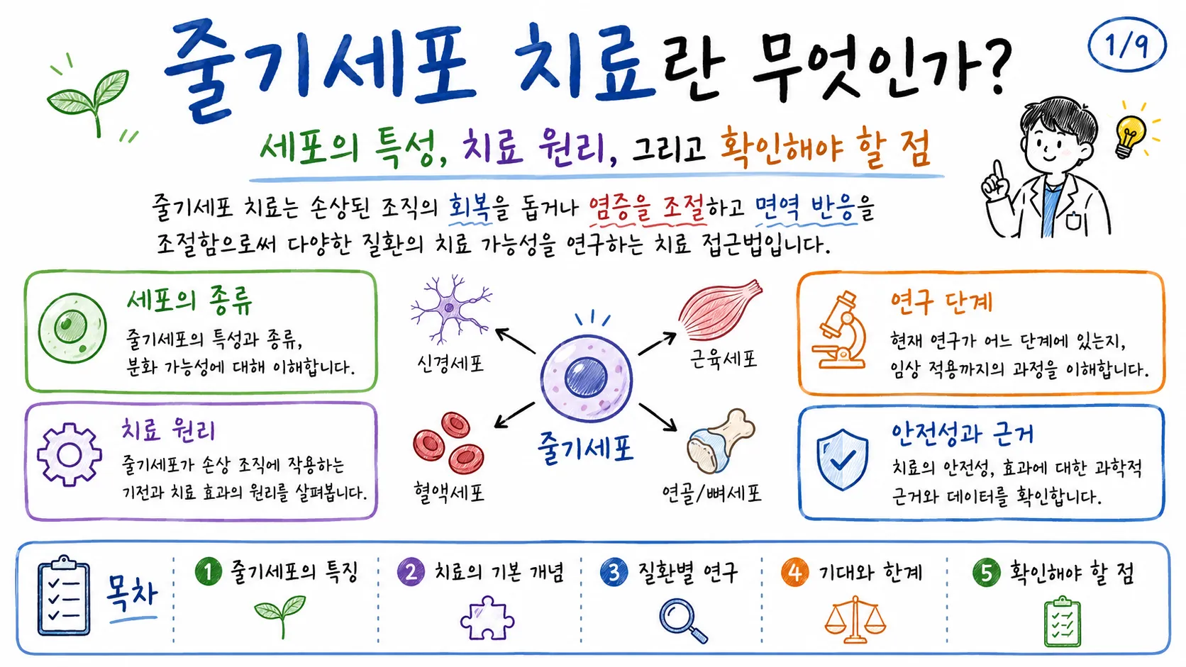 줄기세포 치료의 종류, 원리, 연구 단계와 안전성을 요약한 그림