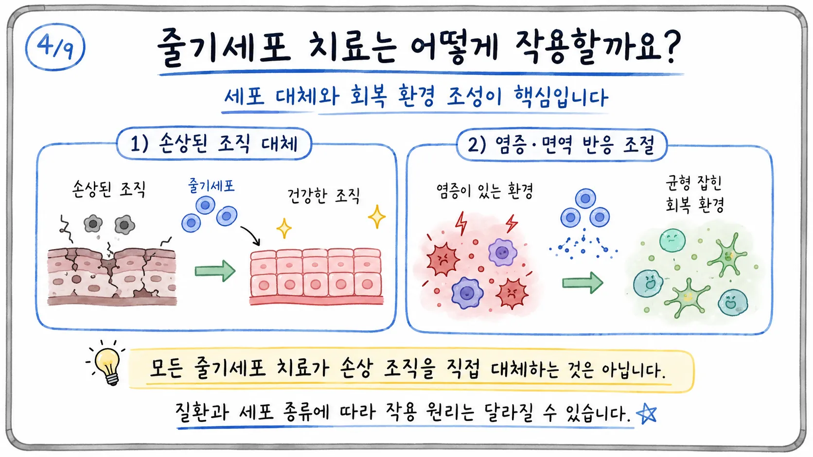 줄기세포 치료의 세포 대체와 염증·면역 조절 방식을 설명한 그림