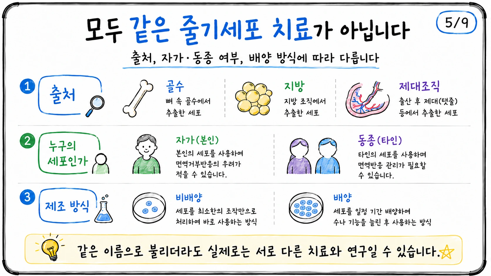 세포 출처, 자가·동종 여부와 배양 방식의 차이를 설명한 그림